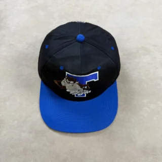 LOONEY TUNES TAZ BLACK ROYALE 6 PANEL CAP