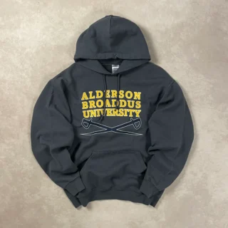 ALDERSON UNIVERSITY GREY HOODIE
